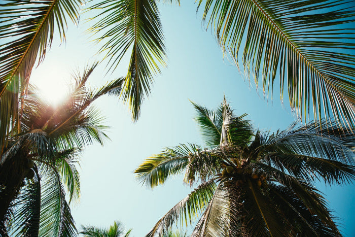 Anguilla Unlimited Data eSIM: Stay Connected in Paradise Without Roaming Fees