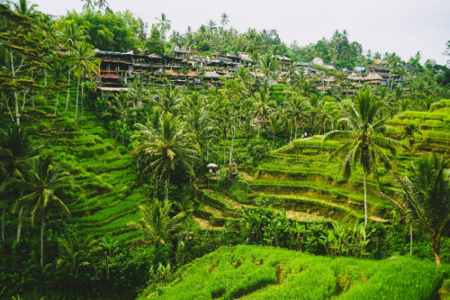 Best Bali eSIM for Travelers: Unlimited Mobile Data from the Moment You Land