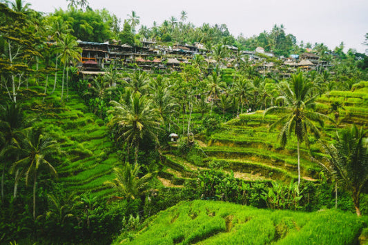 The Top Places to Visit in Bali, Indonesia (Complete Bali Travel Guide)