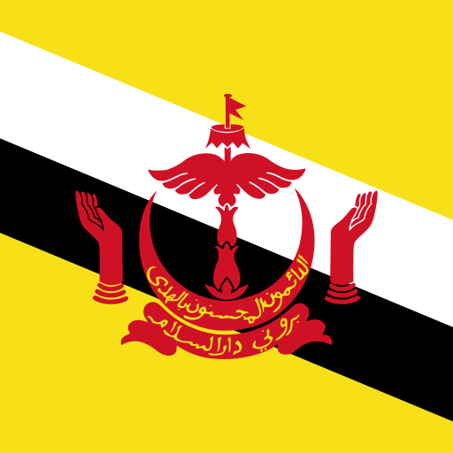 Brunei Darussalam Unlimited Data eSIM